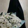 n__dija