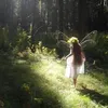 wholemia