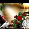 jui.islam224