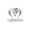 cobraa_pubgg