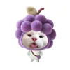 bchaulee_2000