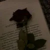 _.maja._.2022._