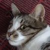 vasya_14193