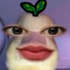 emiirebusss6