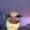 bus.lon.em.rat.da
