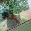 user4017946366853