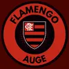 Flamengo auge