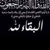 seif.ahmed6872