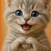 user77josf