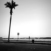 _livamc