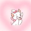 cutecatyo