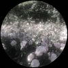 r586351