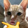 trungtinh209nek