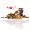MRP Thailand