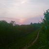 lampungcdr