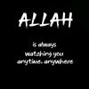 abir.ansari89