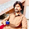 Gull M Mari