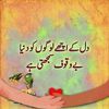waseemkhalid5865