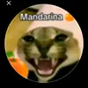teammandarima