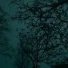 nur_00705