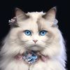merlin_ragdoll2