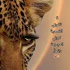 maro258585