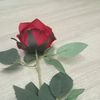 annaduraim