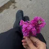 hanaaa0008