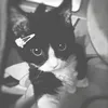 itts.she2
