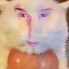 literallyley4