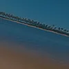 nick_nick287