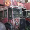 h5521835