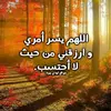 mohamedsd257