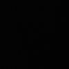 sayh_990