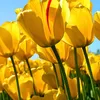 jamila.jamila5893