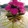 nosaifa.islam.nuha