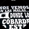 alesseripaillalefgmail.c