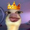 secspnayy