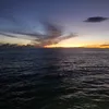 i.dng.xanh238