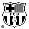 mou_edit_pro