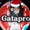 gatipro13