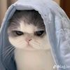 liyo.syafka