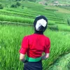 thuhang2642011