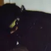 paolo.27