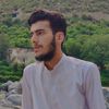muhammadsudais8142