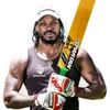gayle4230