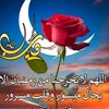 user78800204261027