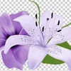 user1317618175623