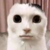 nini_6478