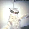 assialastar09